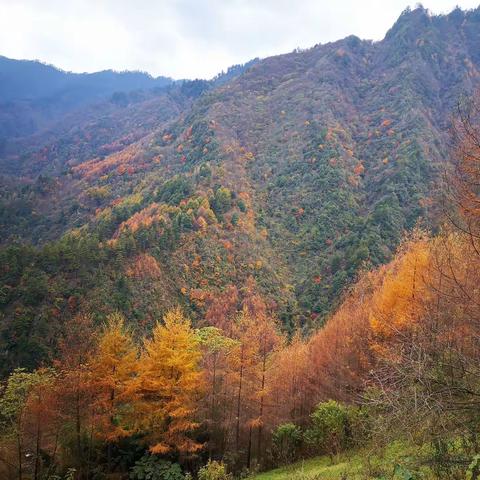 狮山之旅