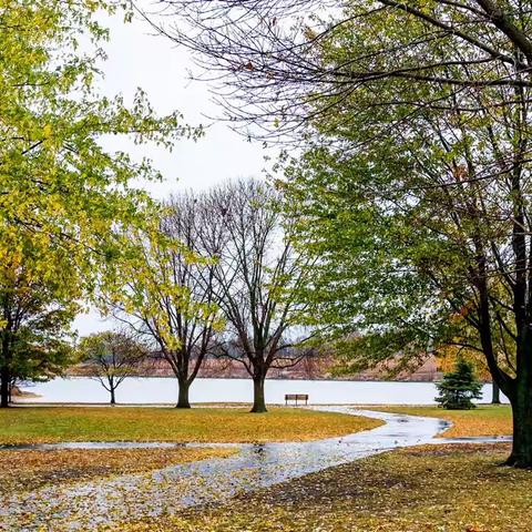 秋雨　—　秋意　—　秋叶