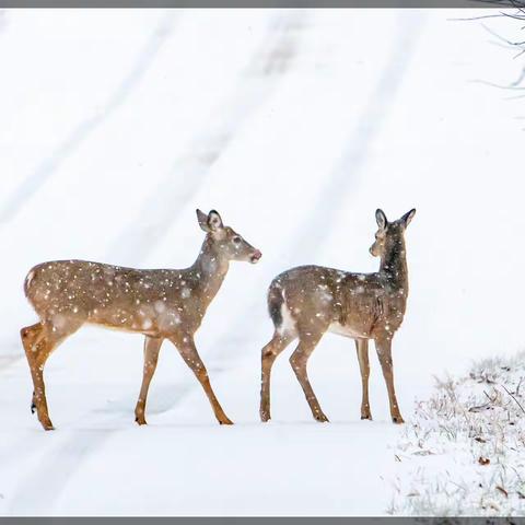 2021年就这么过去了