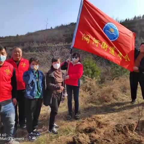 涧河街道商会开展“民营经济健康发展经济林”义务植树活动