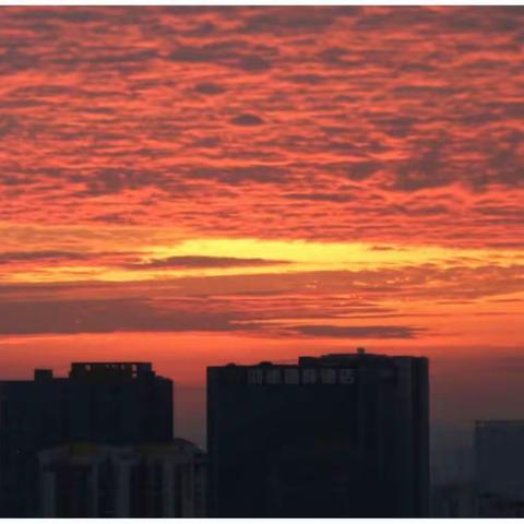 《我在广州拍日出日落》（月赛作品）