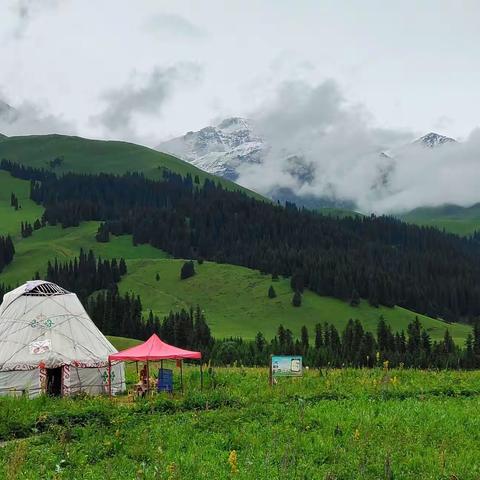 《2022那拉提空中草原之行》