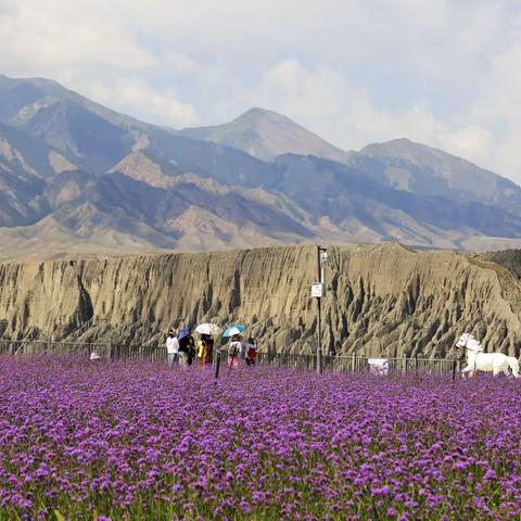 2022大美新疆行（峡谷篇）