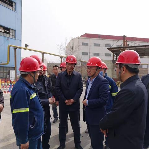 青铜峡市市委书记张自力、市长文学智到铝合金分公司调研