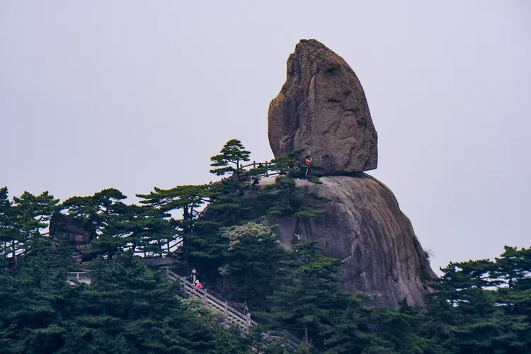 黄山的奇松怪石