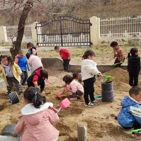 丰富多彩的幼儿园生活——户外活动篇