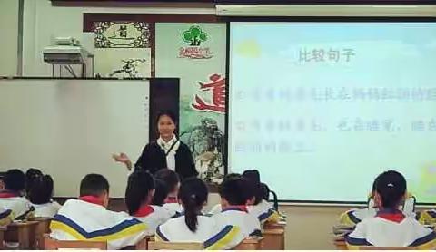 聚焦学科核心素养 提高语文课堂效率——记金福园小学语文优质课评比活动