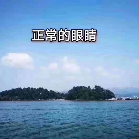 莲湖区妇幼保健计划生育服务中心举办眼保健视力检查项目工作培训会