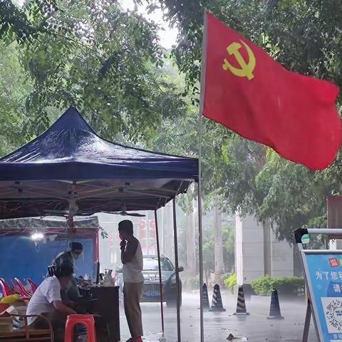 七坊镇“无疫村（社区）”全覆盖！一起来看看七坊镇的防“疫”法宝“五大力量”