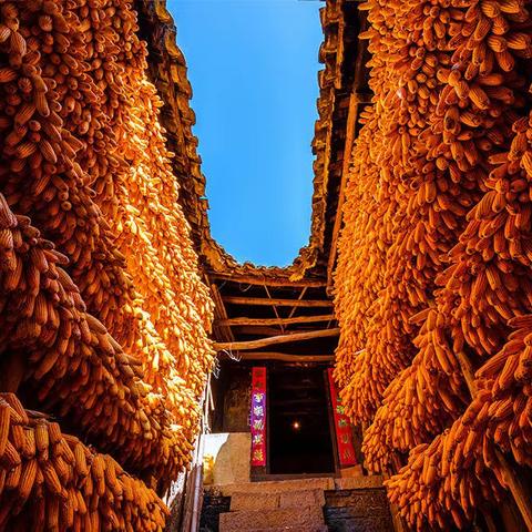 陶醉在荆山画廊里