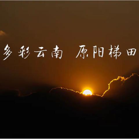 多彩云南   原阳梯田（原创）