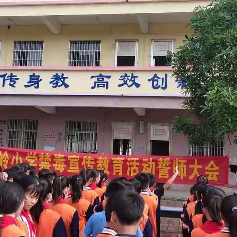 远离毒品，珍爱生命——成均镇大岭小学禁毒宣传活动