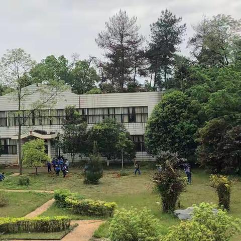 春天植新绿，喜迎二十大