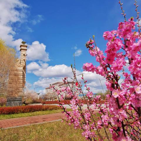 2022年5月的公园景色