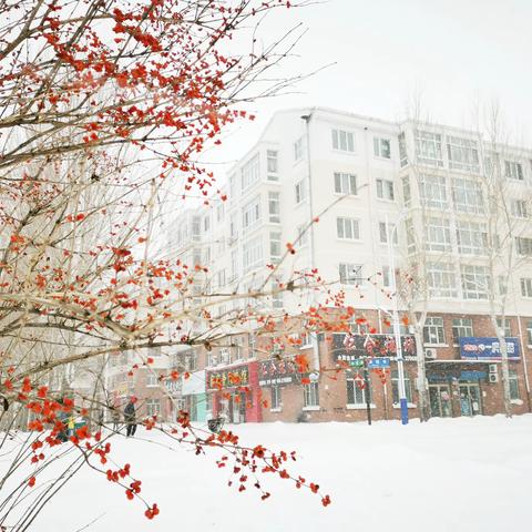 24节气中的小雪