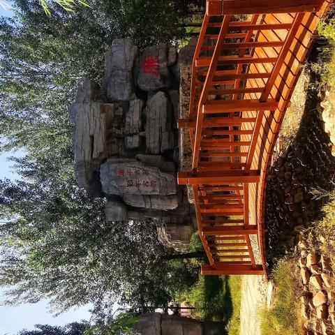 拍于新华农场水上公园