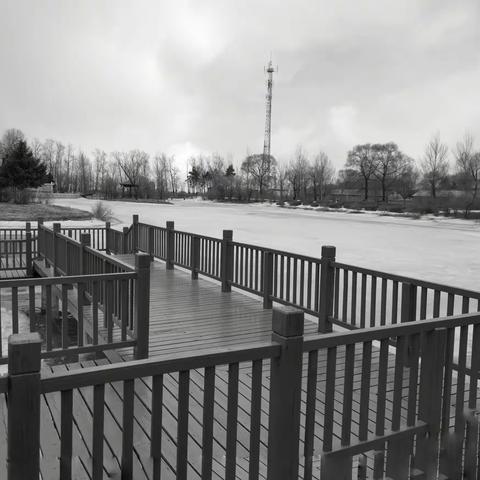 冰溶雪化，春天已向我们走来，坚信疫情终会结束！