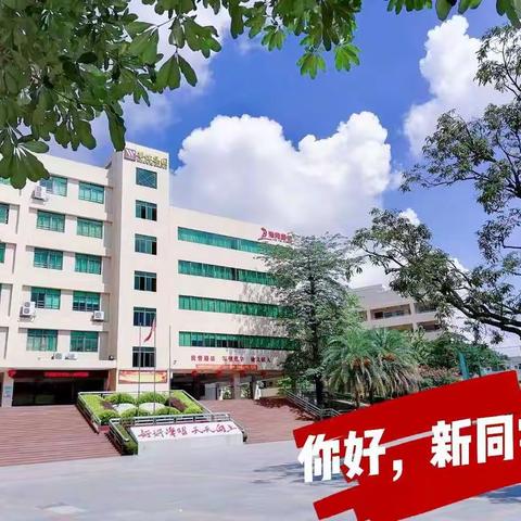 “我们上小学啦”——记海月学校一年级新生集训活动