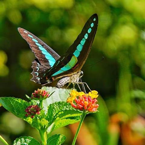 共和公园--小组活动