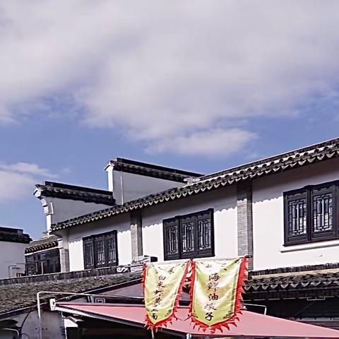 金山嘴渔村与枫泾古镇游