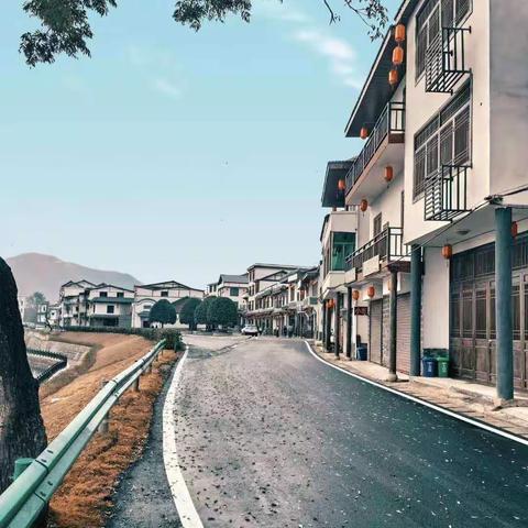 全镇人居环境整治工作督查日志（四）