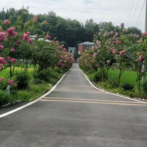 全镇人居环境整治工作督查日志(十）