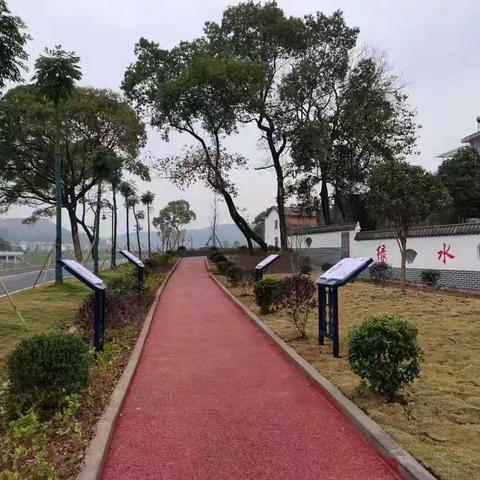 全镇人居环境整治工作督查日志(八）