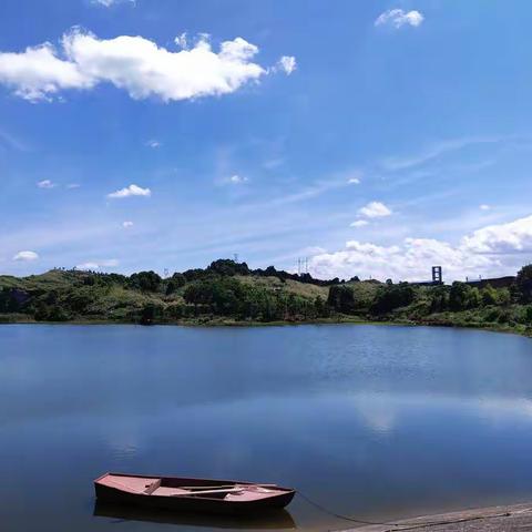 全镇人居环境整治工作督查日志(十一）