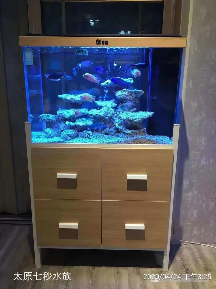 高逸鱼缸实景美图