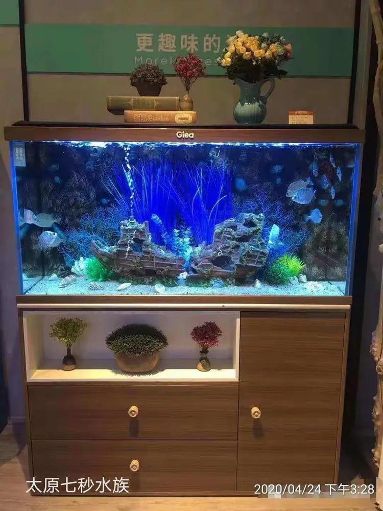 高逸鱼缸实景美图