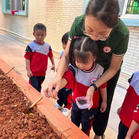 梅园新村幼儿园🏠世界粮食日——种植篇