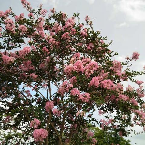 花开花谢，日出日落