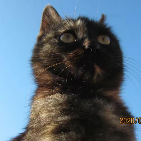 落入凡尘与您相拥1