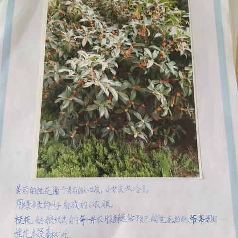 秋之韵
