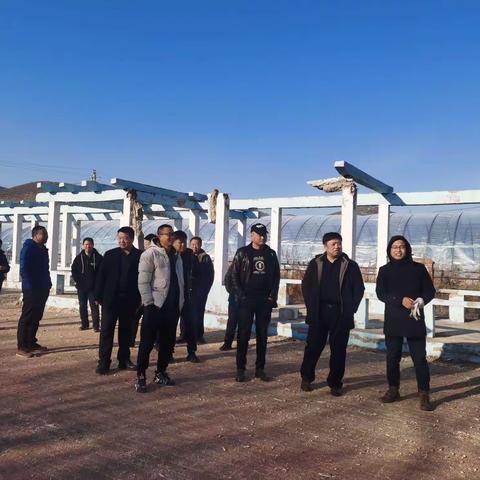 【突泉县六户镇】人勤春来早  菌棚备耕忙