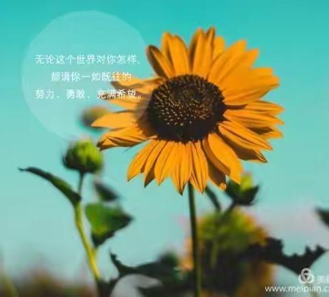病毒无情，教育有爱；                             积蓄能量，静待花开