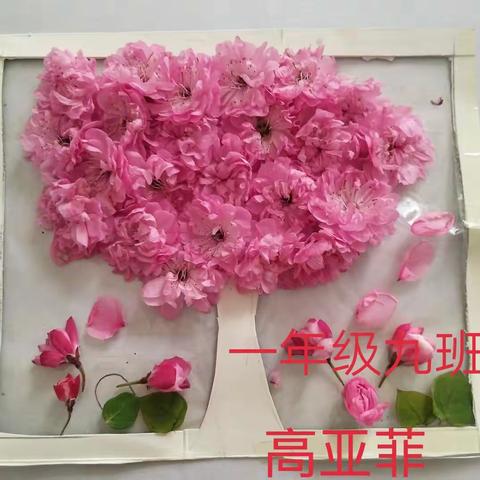 与春相约—记1.9班留春活动