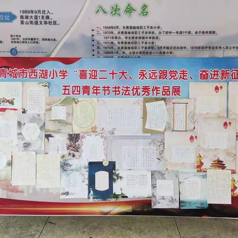 青春心向党--共青城市西湖小学团支部开展建团100周年主题活动