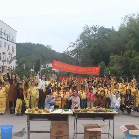 这个立冬，我们收获了满园橙柚——记龙村小学河河果园首届丰收节