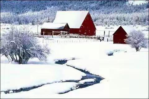 主题教学——大雪