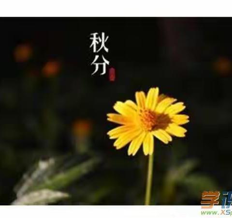 季节变更秋分到，斜阳点缀你的风景，秋菊装饰你的生活，秋风撩拨你的心绪，秋景点染你的心情，秋雨滋润你的祝福。