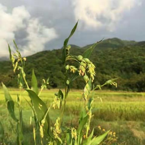 遇见.山脚小村