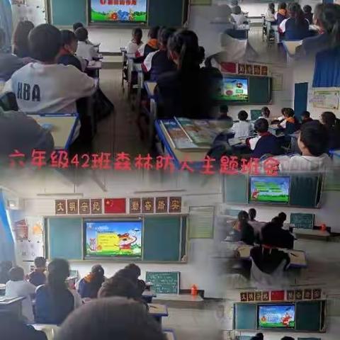 森林防火 靠你靠我——记嘉玲小学“森林草原防火”主题活动