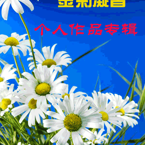 金菊凝香 个人作品 词 钗头凤 2022  6  5