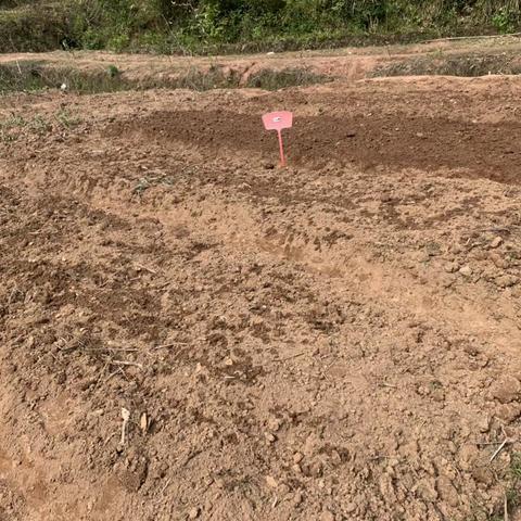 你眼中的夏天是什么样子的？