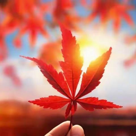 “秋分至，秋意浓”—【诗慧·江山】505班四十二节气之秋分