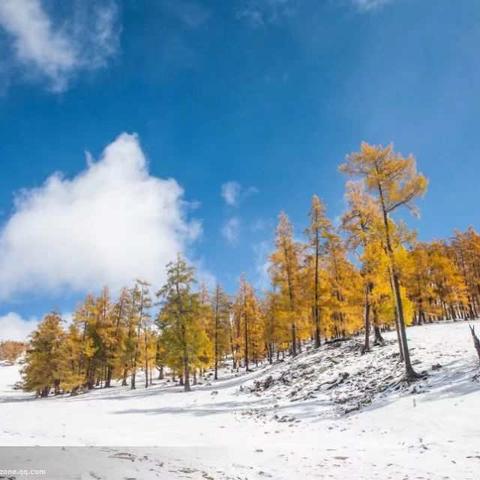 风雪梦里情迷北疆