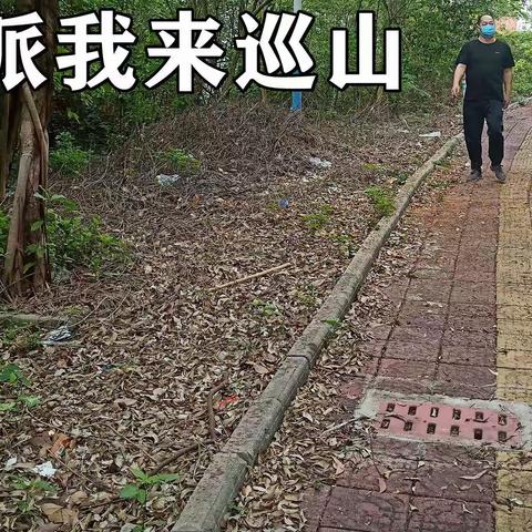 石鼓清明战“疫”记：人民派我来巡山