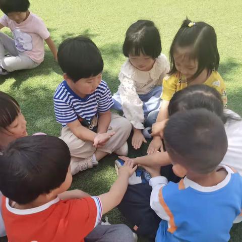 金色摇篮幼儿园中三班精彩活动分享