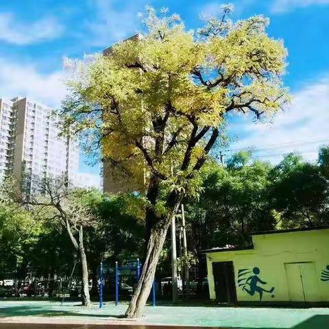 【翠桥学校】开学在即，一年级小同学你准备好了吗？